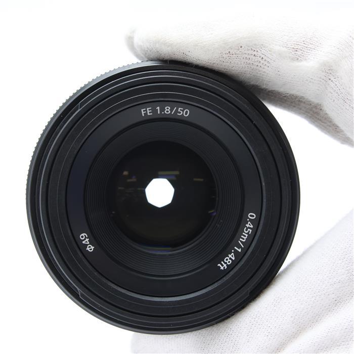 SONY（ソニー） 《良品》SONY FE 50mm F1.8 SEL50F18F : カメラ専門店
