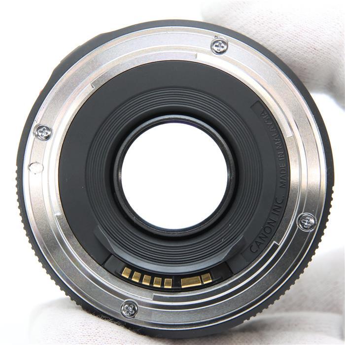 Canon EF 50mm f/1.8 STM レンズ 良品 キヤノン（Canon） 《良品》Canon EF50mm F1.8 STM : カメラ専門店