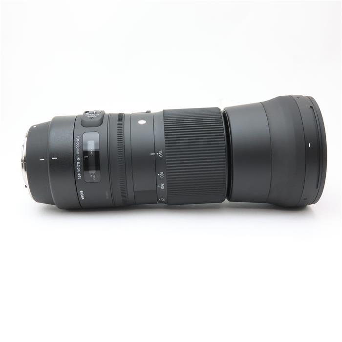 SIGMA 150-600mm F5-6.3 DG OS HSM | Sports [キヤノン用]を徹底解説。作例