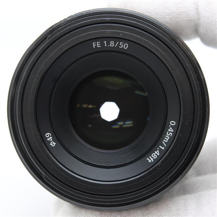SONY（ソニー） 《並品》SONY FE 50mm F1.8 SEL50F18F : カメラ専門店