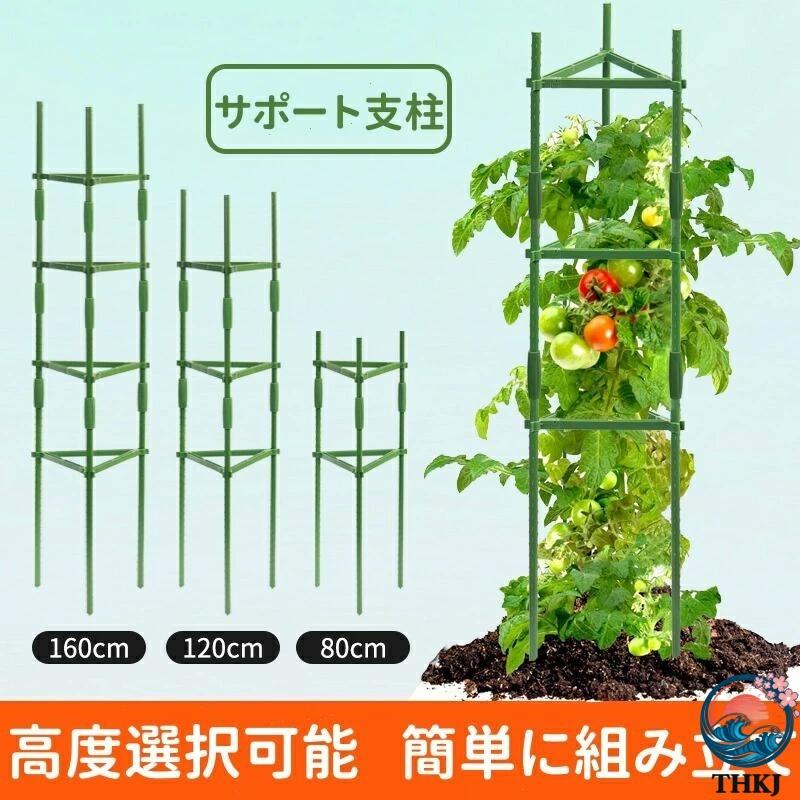 3 個セット サポート支柱 80cm 120cm 160cm トマト支柱 組み立て式