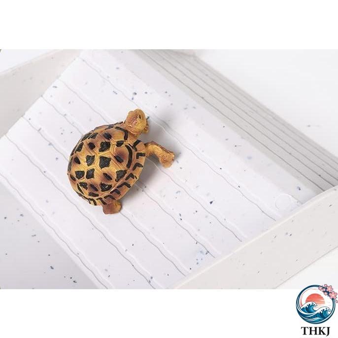 爬虫類 水入れ リクガメ セット 亀水槽 亀 飼育ケース ケージ リクガメ