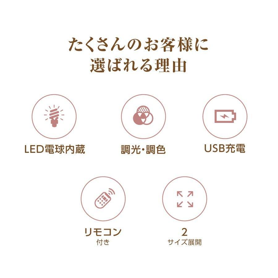 ビューティープロ ハーブクリアジェル ピュア 定形外送料無料 ジェル状洗浄料 セフィーヌ 1ml Cefine