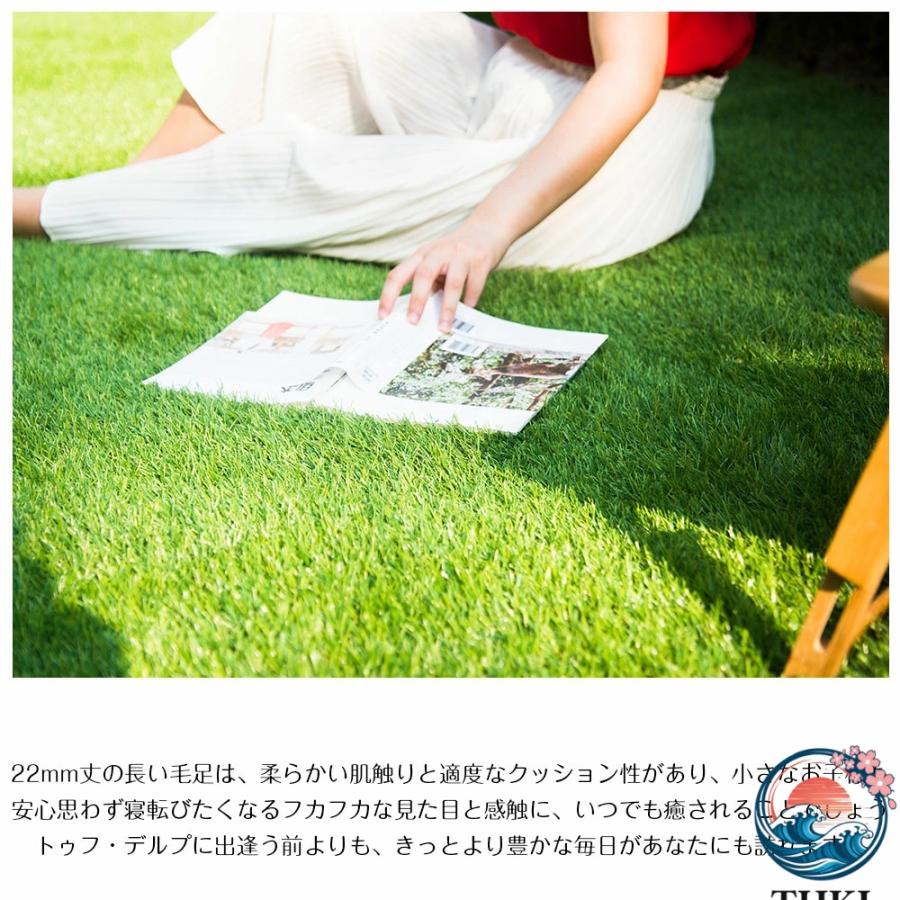 人工芝 ロール 2m×10m 芝丈 20mm ピン 42 本つき 2 色立体感 透水穴