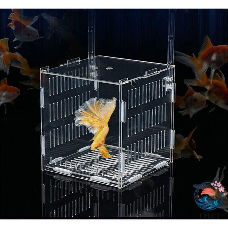 稚魚 水槽 隔離ケース メダカボックス 仕切り 透明 アクリル 繁殖隔離