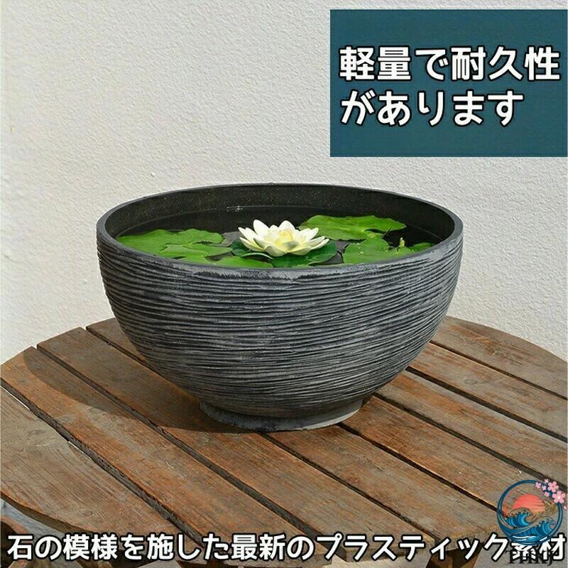 睡蓮鉢 スイレン鉢 メダカ 鉢 金魚鉢 大型 45 プラスチック おしゃれ