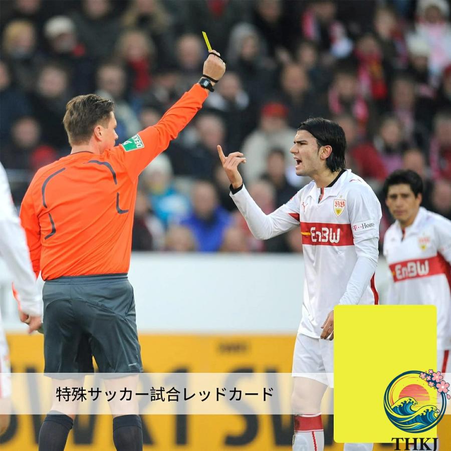 サッカーレフェリーセット 審判カード 赤と黄色のカード レコード紙 5
