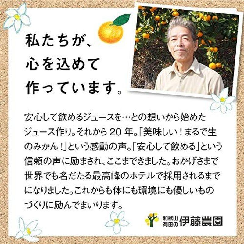 みかん 清見 はるみ 甘夏 など 伊藤農園 みかん ジュース きよみ ジュース 100% 無添加 750ml ×12本 ギフト 100％ みかん ジュース 　 清見 はるみ 甘夏 など 伊藤農園 きよみ 100% 無添加 750ml ×12本 ギフト 100％