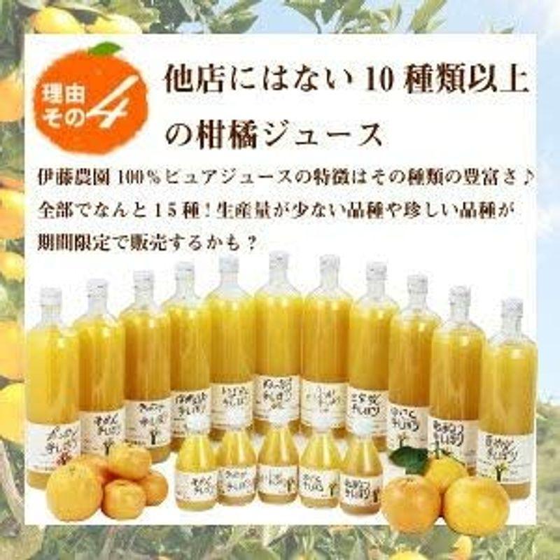 みかん 清見 はるみ 甘夏 など 伊藤農園 みかん ジュース きよみ ジュース 100% 無添加 750ml ×12本 ギフト 100％ みかん ジュース 　 清見 はるみ 甘夏 など 伊藤農園 きよみ 100% 無添加 750ml ×12本 ギフト 100％