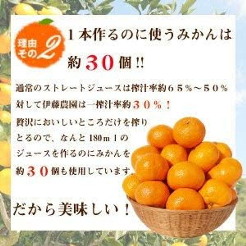 みかん 清見 はるみ 甘夏 など 伊藤農園 みかん ジュース きよみ ジュース 100% 無添加 750ml ×12本 ギフト 100％ みかん ジュース 　 清見 はるみ 甘夏 など 伊藤農園 きよみ 100% 無添加 750ml ×12本 ギフト 100％