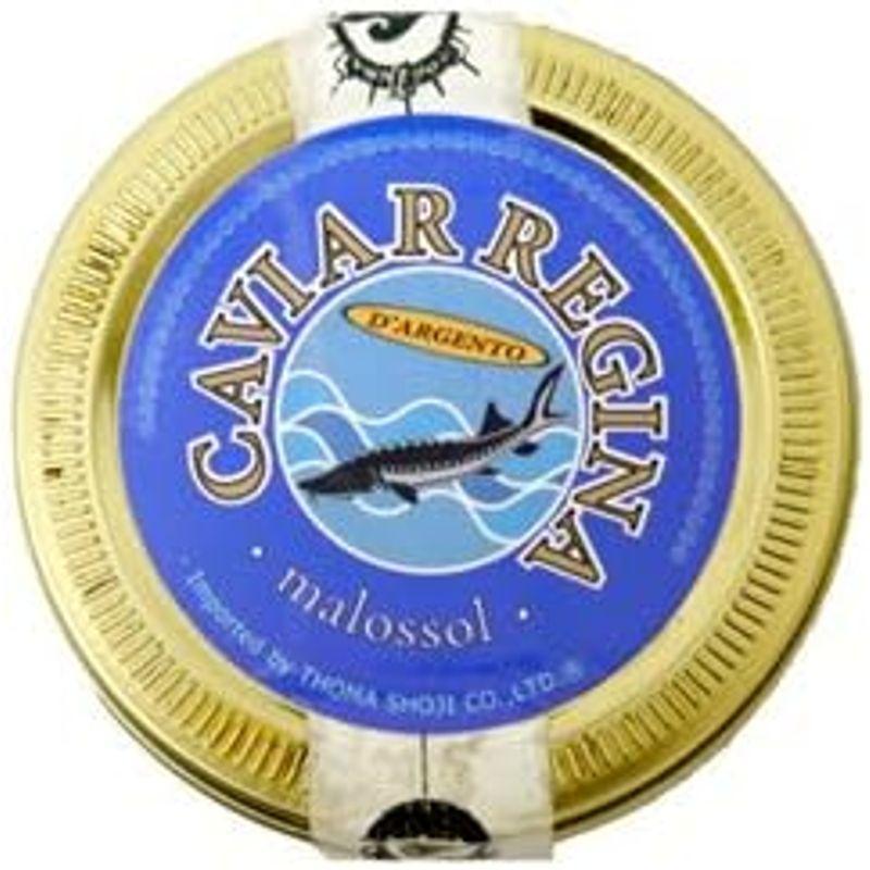 イタリア産 キャビア レジーナ アルジェント 50g パストライズ CAVIAR REGINA キャビア パストライズ レジーナ アルジェント 50g CAVIAR REGINA 　