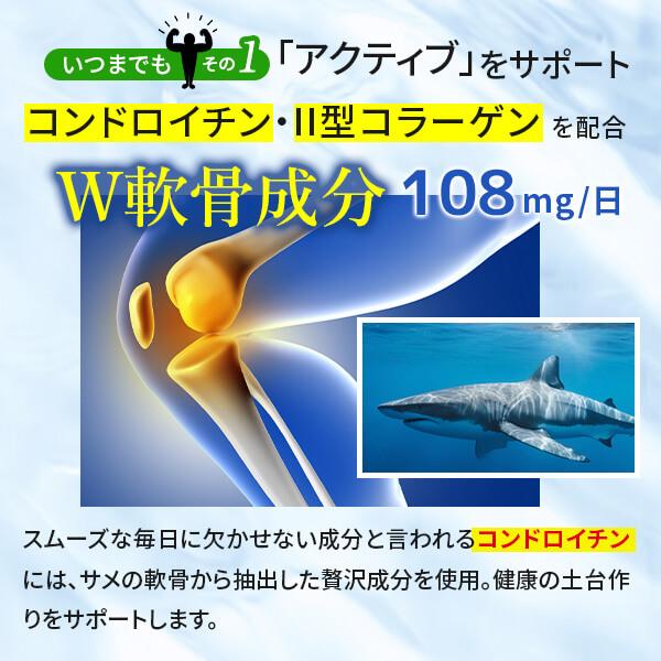 2袋セット ロコモ美身 ロコモ びしん NMN エイジング イミダゾール 