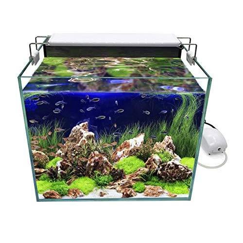 Gankpike アクアリウムセット 超クリアガラス350水槽 淡水魚水槽 容量 約31l S Moluce 通販 Yahoo ショッピング