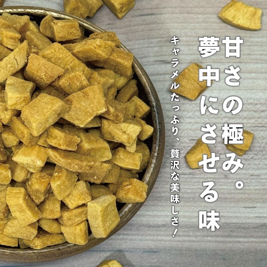 ハース キャラメルココナッツ 250gx24袋/ケース 卸販売 メーカー直送_2