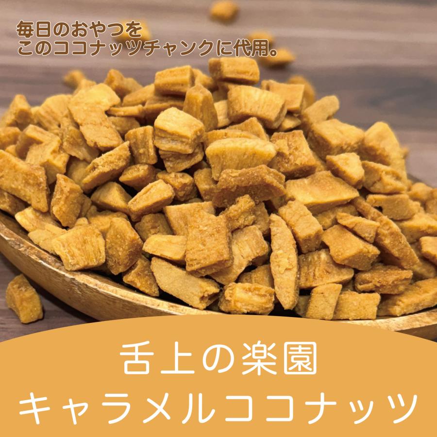 ハース キャラメルココナッツ 250gx24袋/ケース 卸販売 メーカー直送_4