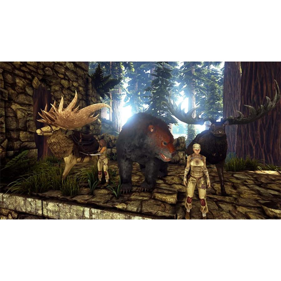 ARK: Survival Evolved PS4 プレステ プレイステーション4 ソフト アーク サバイバル エボルブド　日本語対応 輸入Ver.｜yms-online｜07