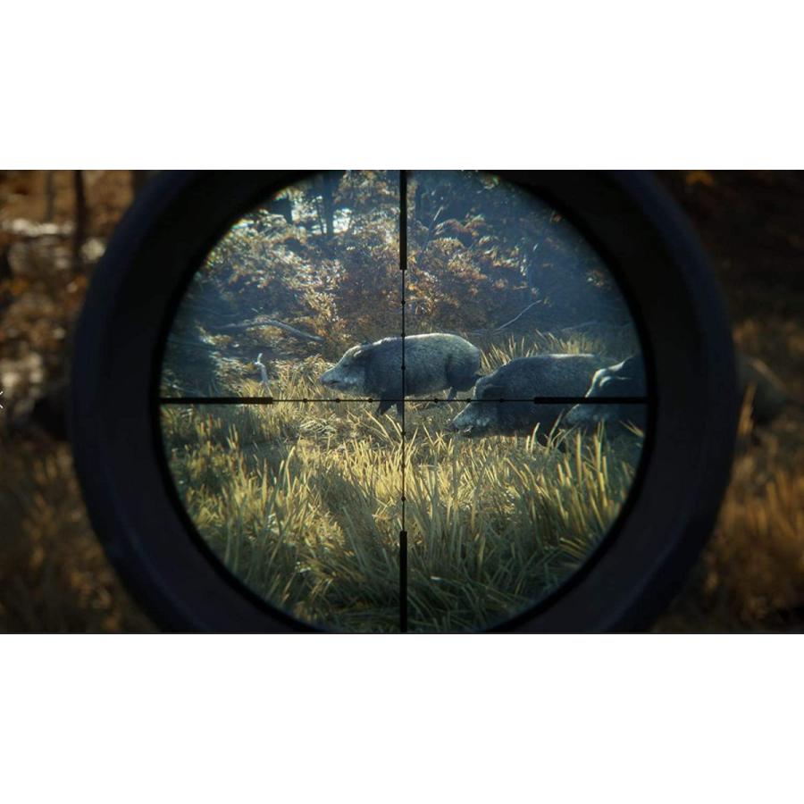 Hunter Call Of The Wild Ps4 TheHunter: Call Of The Wildu2122 - New England Mountains - Epic Games The Hunter Call Of The Wild