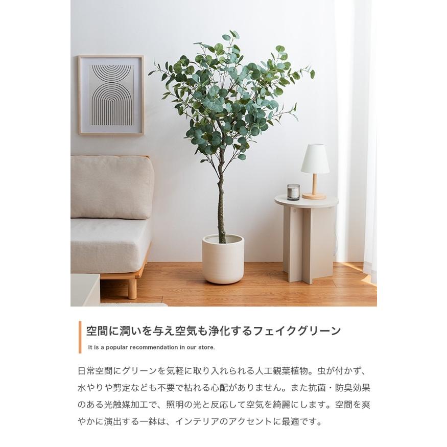フェイクグリーン　ユーカリ（人工観葉植物）高さ150cm 観葉植物 フェイクグリーン ユーカリ 高さ150cm お手入れ簡単 大きめ