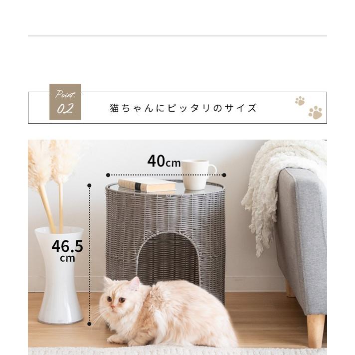 猫ちぐら 猫 ベッド サイドテーブル 小屋 ラタン調 ペット用品 ねこ ネコ ガラス天板 ベット 樹脂 ペット家具 Piene 北欧 新生活 ID004の画像