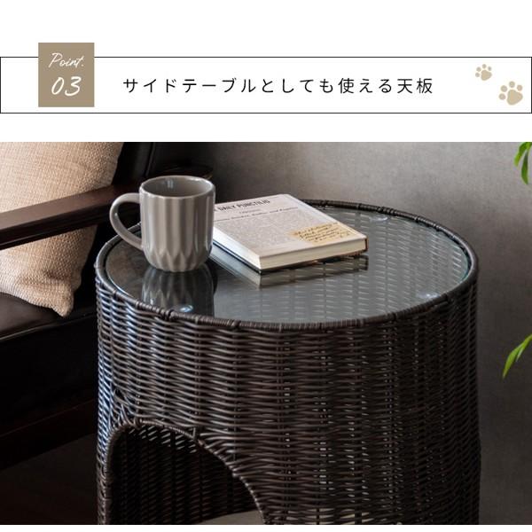 猫ちぐら 猫 ベッド サイドテーブル 小屋 ラタン調 ペット用品 ねこ ネコ ガラス天板 ベット 樹脂 ペット家具 Piene 北欧 新生活 ID004の画像