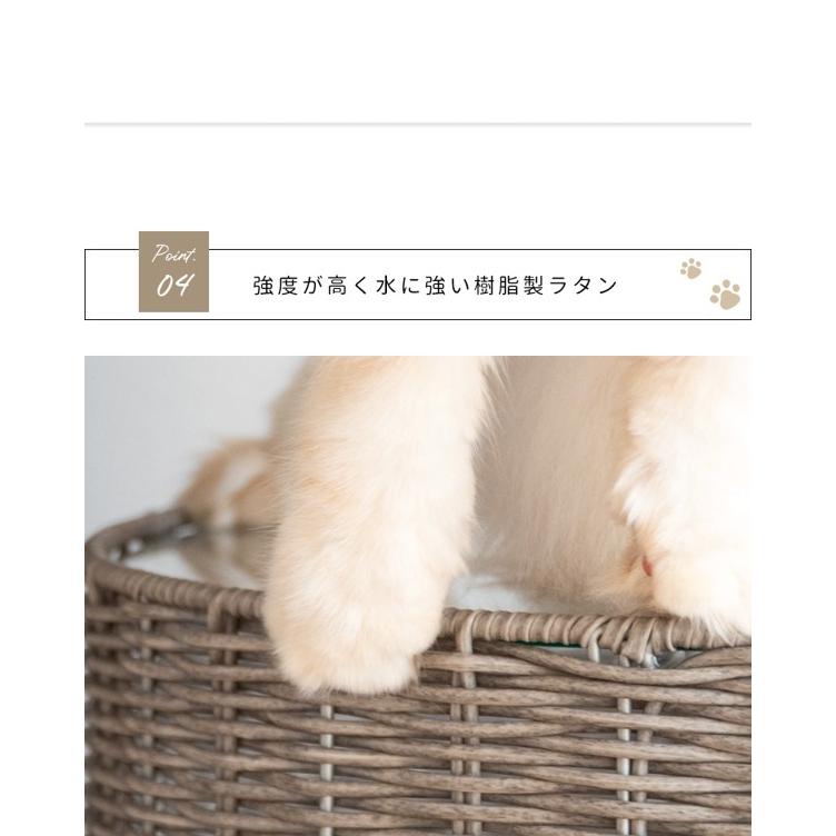 猫ちぐら 猫 ベッド サイドテーブル 小屋 ラタン調 ペット用品 ねこ ネコ ガラス天板 ベット 樹脂 ペット家具 Piene 北欧 新生活 ID004の画像