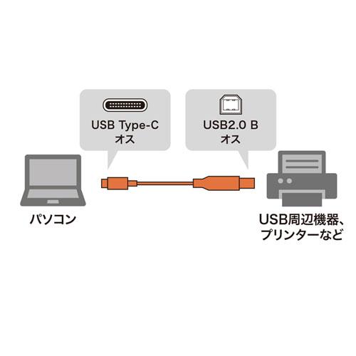 USB2.0 Type C-Bケーブル 3m ブラック USB認証取得品 KU-CB30 サンワサプライ 送料無料  新品｜yms-reusestore｜02