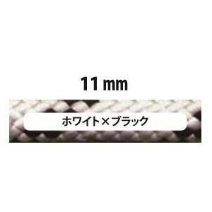 ハドソン クラシック プロフェッショナル11mm×50m [PM1119]