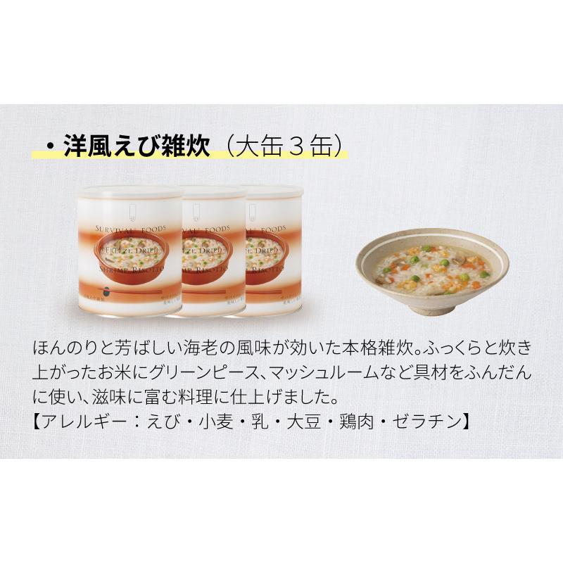 サバイバルフーズ バラエティ 雑炊セット 大缶 6缶入（約60食分