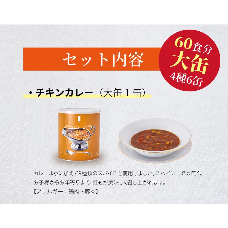サバイバルフーズ ファミリーセット（カレー&シチュー） 大缶 4種類6缶入（約60食分） | クラッカー3缶 チキンシチュー1缶 野菜シチュー1缶 チキンカレー1缶_2