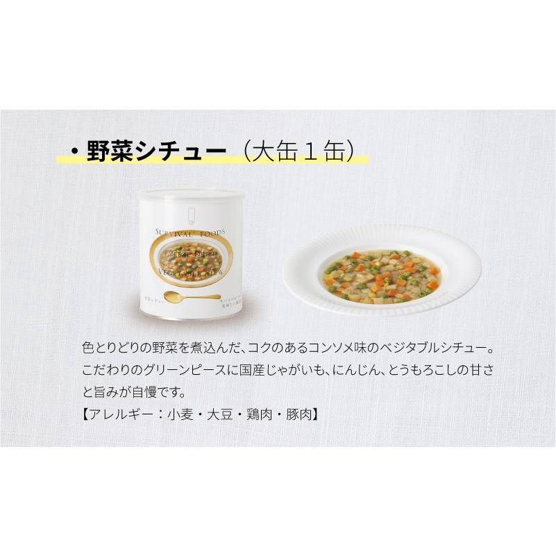 サバイバルフーズ ファミリーセット（カレー&シチュー） 大缶 4種類6缶入（約60食分） | クラッカー3缶 チキンシチュー1缶 野菜シチュー1缶 チキンカレー1缶_4