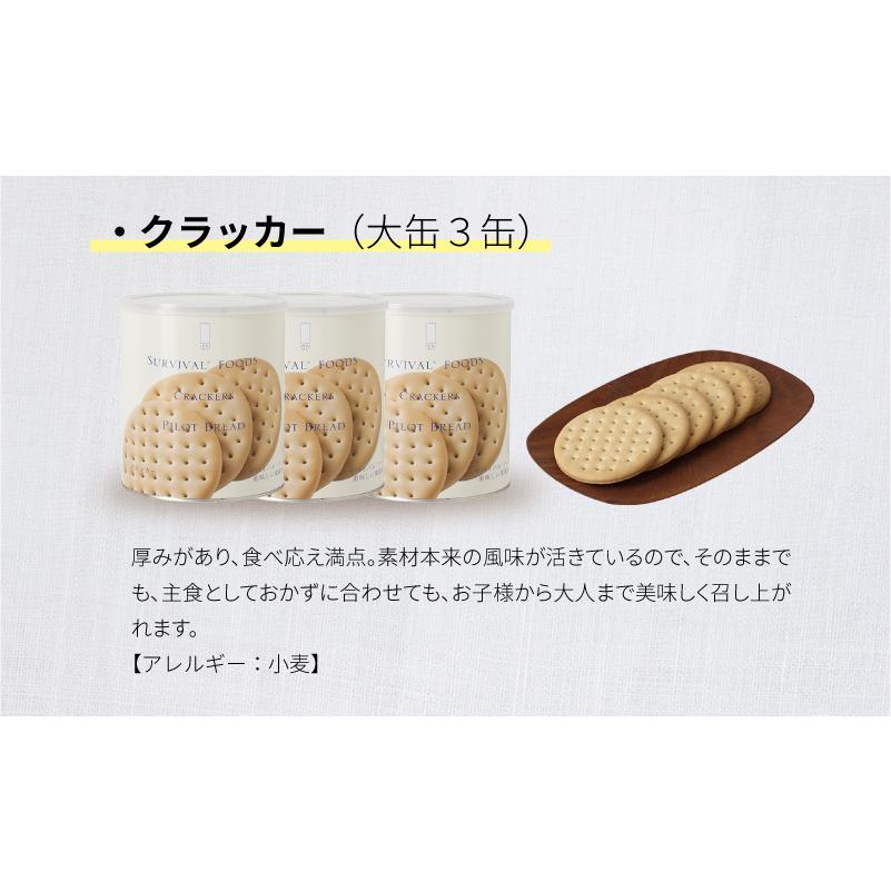 サバイバルフーズ ファミリーセット（カレー&シチュー） 大缶 4種類6缶入（約60食分） | クラッカー3缶 チキンシチュー1缶 野菜シチュー1缶 チキンカレー1缶_5