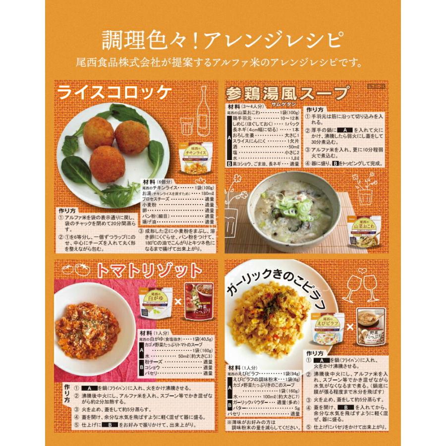 アルファ米 12種類 12食 3日分以上 尾西食品 非常食セット | 白飯 五目