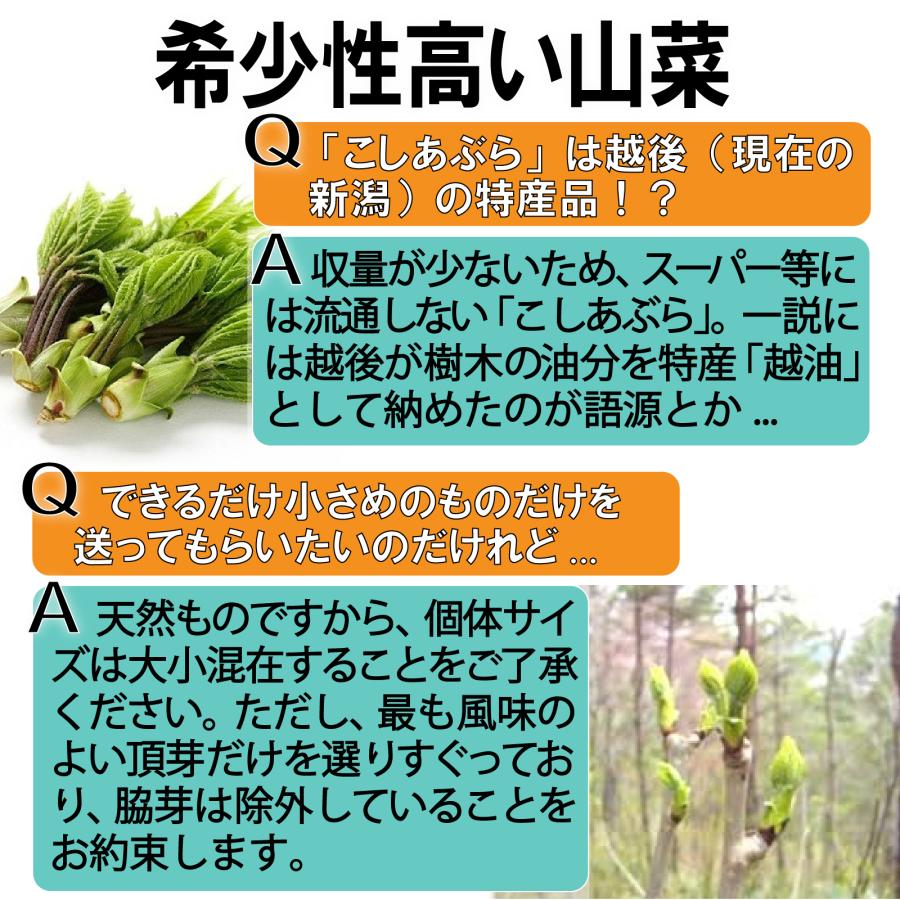 クール便】【220g】［新潟魚沼産］山菜の王様「たらの芽」＆女王