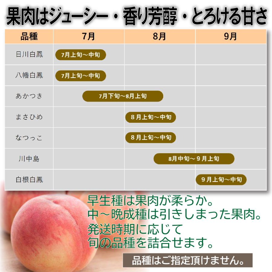 長流しなの川の恵み 新潟産 「桃」１.5kg ／ 新潟はフルーツの宝庫 ／ 化粧箱
