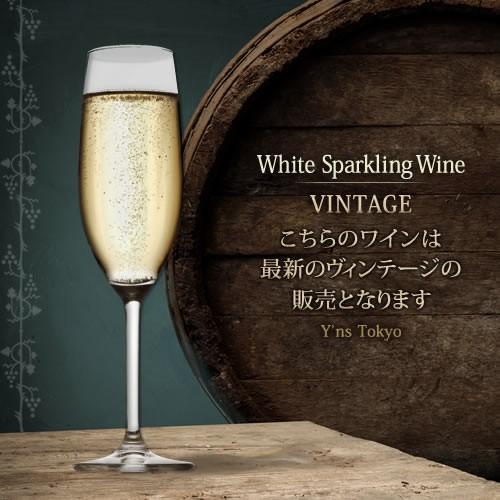 （シャンパン、スパークリング イタリア） カステッリ・デル・ドゥーカ・マルヴァジーア・フリッツァンテ・セッコ wine｜ynstokyo｜02