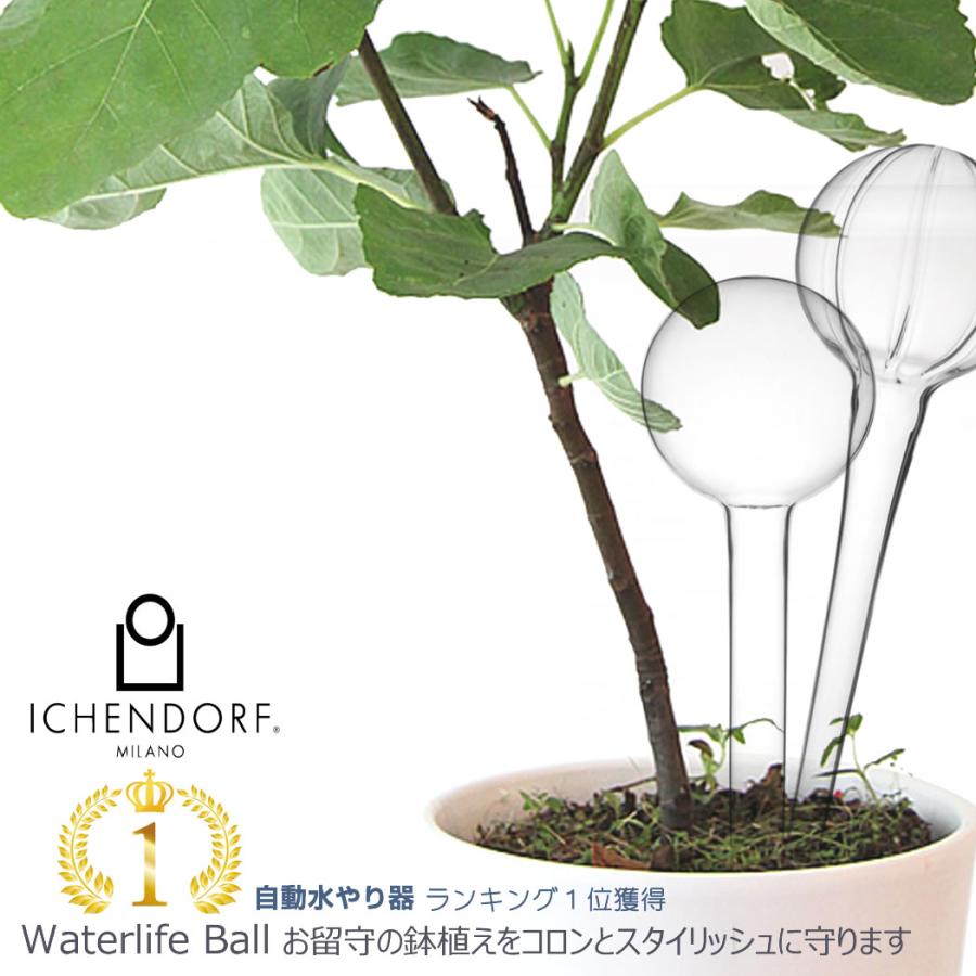 Ichendorf Milano Waterlife Ball ウォーターライフボール 水やり ガラス製 Yo Ko Yahoo ショッピング店 通販 Yahoo ショッピング