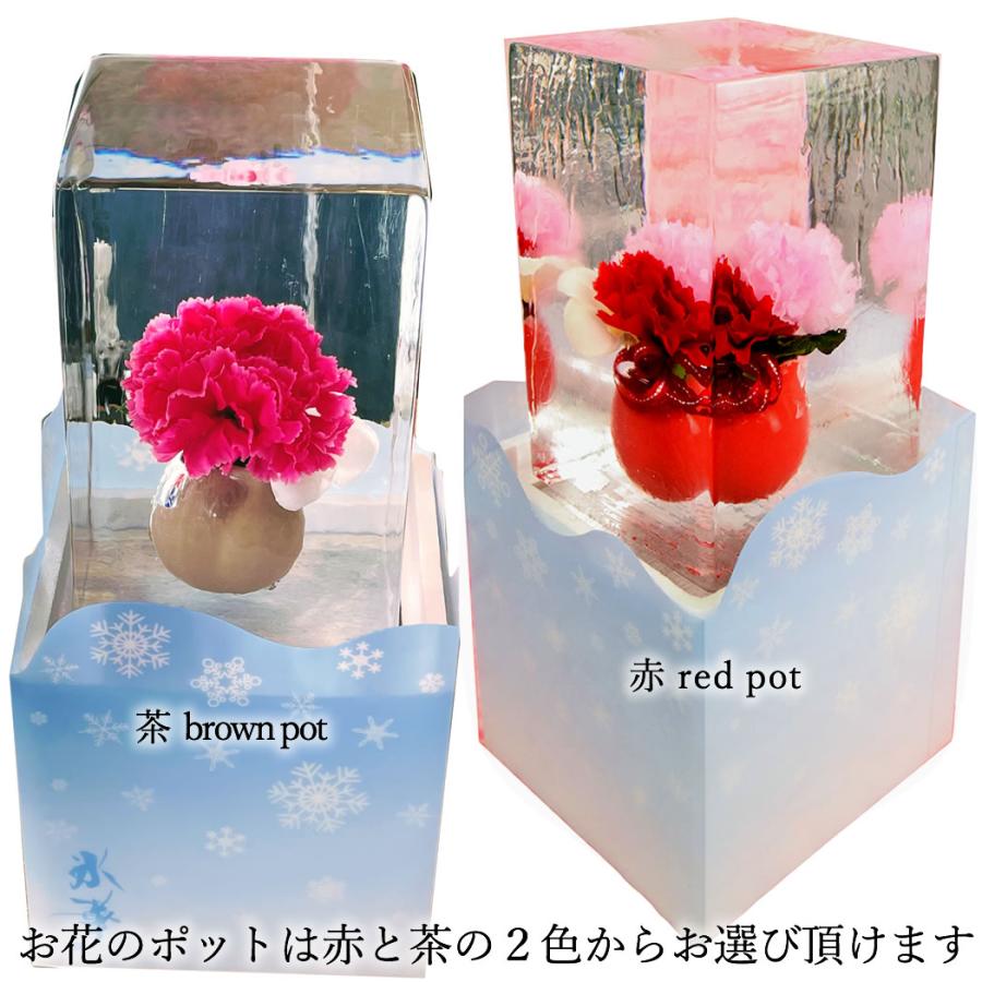 氷華 / 氷中花 「カーネーション」氷に閉じ込めた儚い美しさ。透明度の 