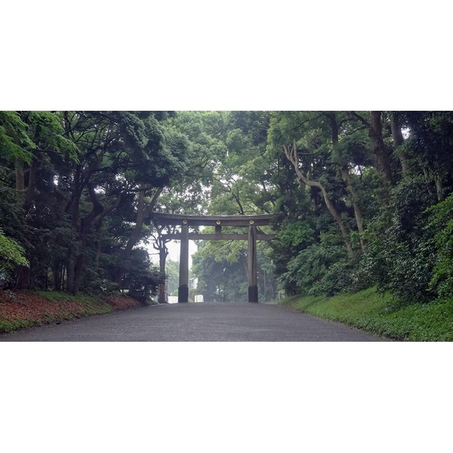 氷華 / 氷中花 「ひまわり」sun flower 氷に閉じ込めた儚い美しさ。透明度の高い氷に美しい造花を閉じ込めた氷のアート。花氷 創作氷とも呼ばれます_12