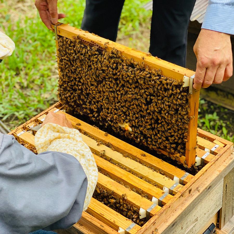 MINOKAMO HONEY 百花蜜 瓶 200g 生はちみつ 純粋 100% 非加熱 美濃加茂