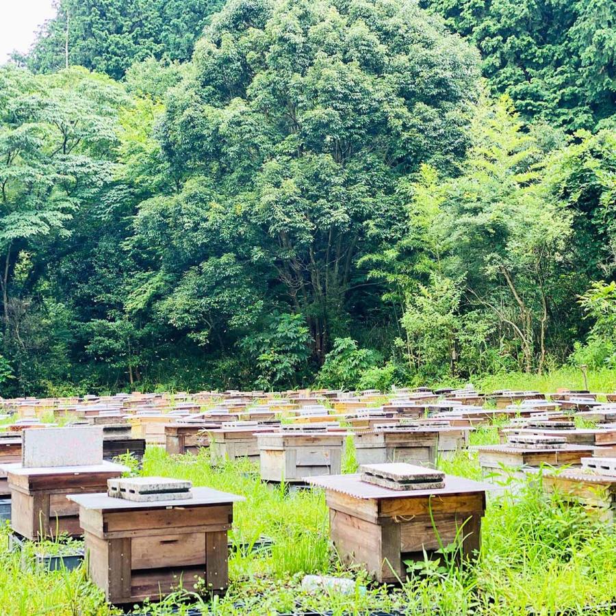 MINOKAMO HONEY 百花蜜 瓶 200g 生はちみつ 純粋 100% 非加熱 美濃加茂