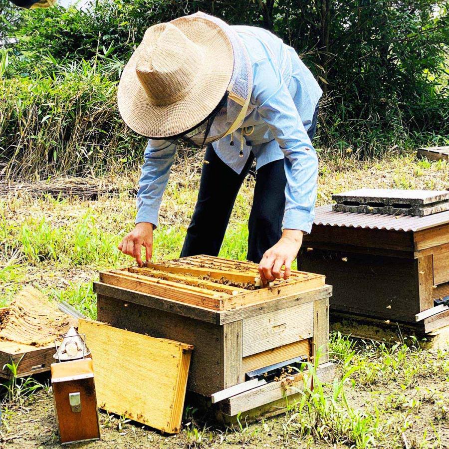 天然100%絞り立て生はちみつ　620g✖️2 MINOKAMO HONEY 百花蜜 瓶 200g 生はちみつ 純粋 100% 非加熱 美濃加茂