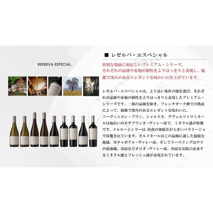 赤ワイン コノスル シラー レゼルバ エスペシャル 750ml SMI wine｜yo-sake｜03