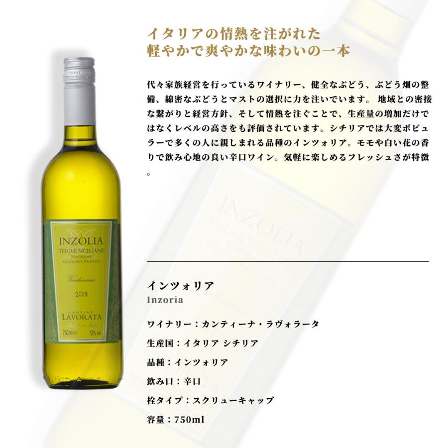 ワイン 12本セット デイリーワイン 赤白 送料無料 本州のみ 優良配送