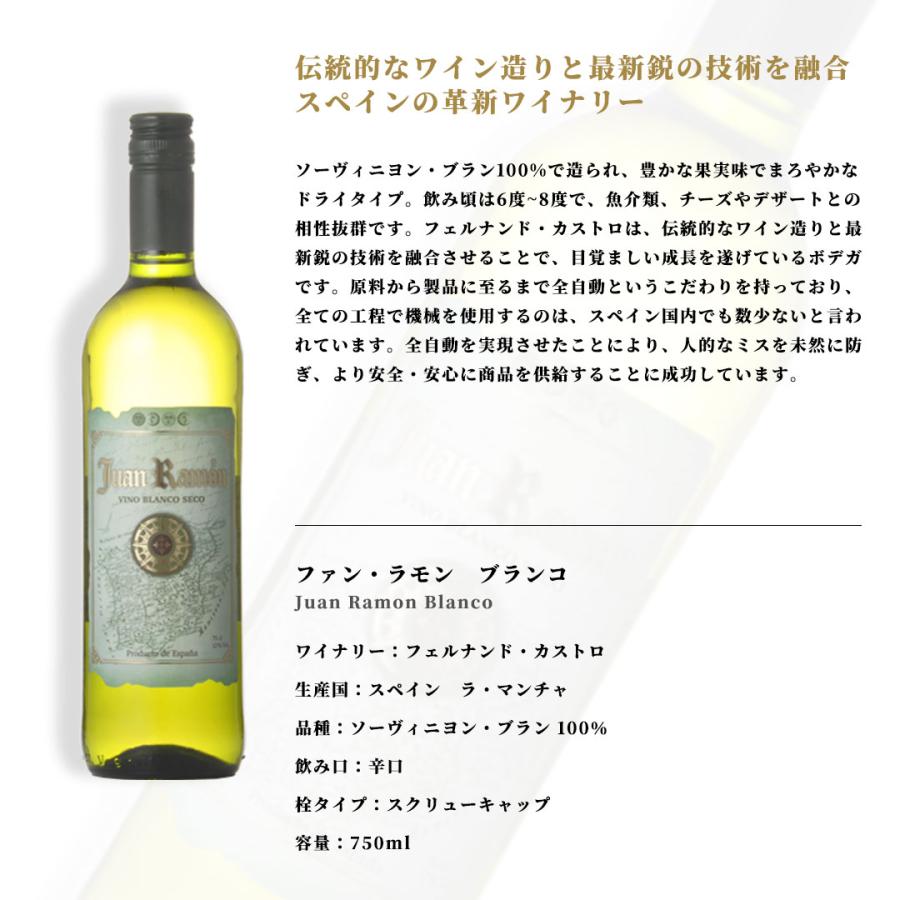 ワイン セット デイリー 白 6本セット 送料無料 本州のみ 優良配送