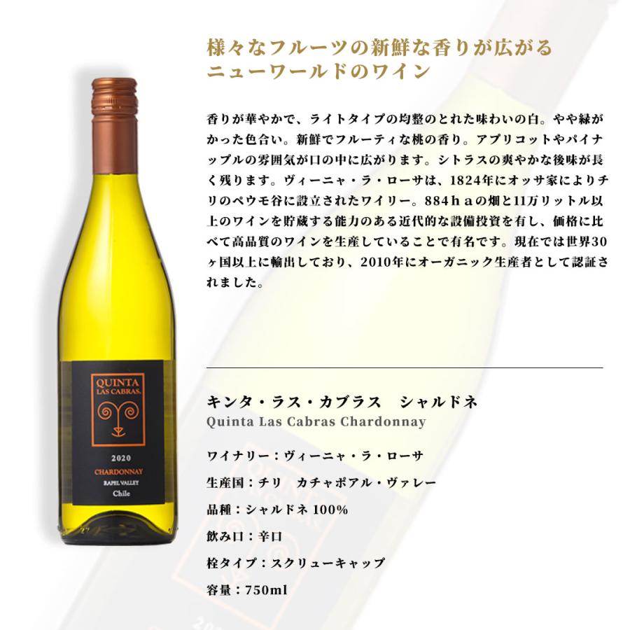 ワイン セット デイリー 白 6本セット 送料無料 本州のみ 優良配送
