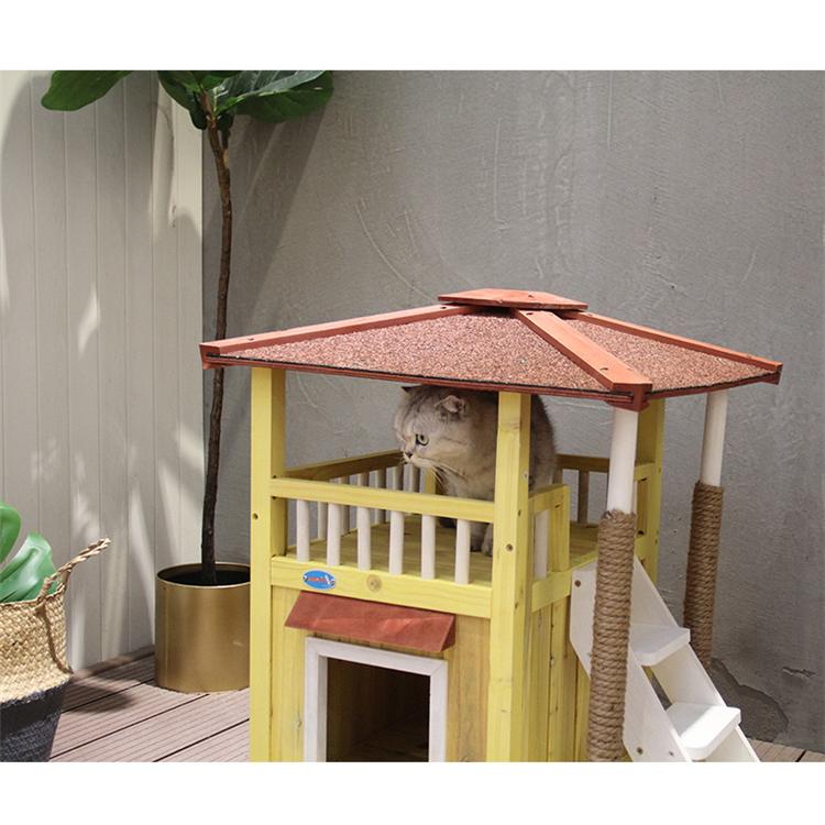 猫的三层猫の三階建て別荘P www.drdf.org.ph
