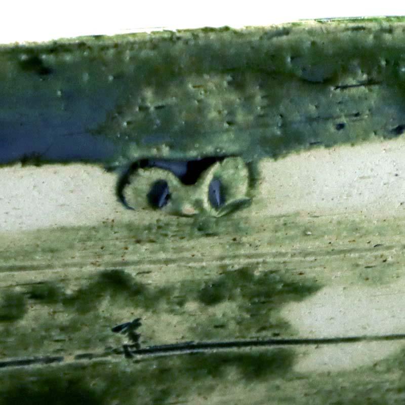 織部焼：織部長方皿・大・有松進《中皿・26.0cm》 |  | 12