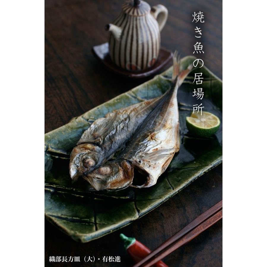 ようび　織部焼　有松進　織部長方皿・大 2枚セット 織部焼：織部長方皿・大・有松進《中皿・26.0cm》 : 和食器の