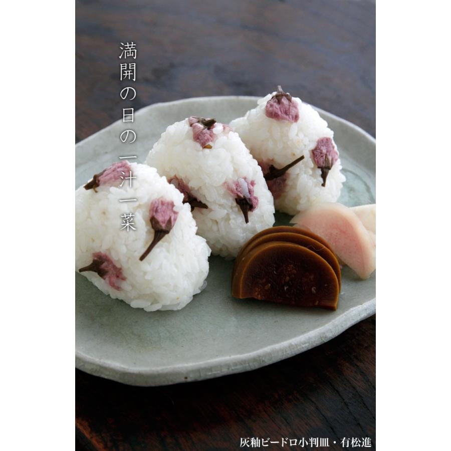 灰釉ビードロ小判皿・厚・有松進《中皿・20.5cm》 |  | 04