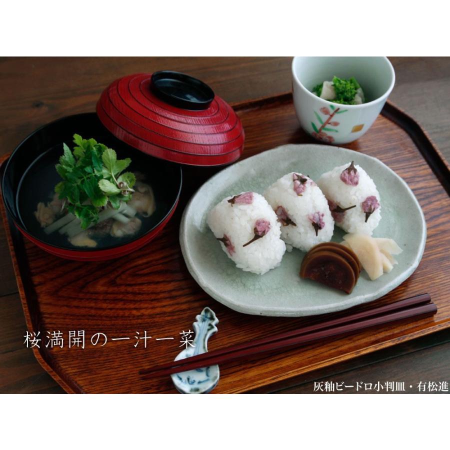 灰釉ビードロ小判皿・厚・有松進《中皿・20.5cm》 |  | 05